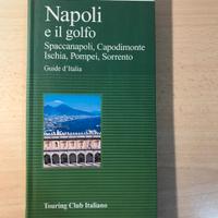 Guida turistica Napoli ed il golfo