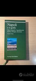 Guida turistica Napoli ed il golfo