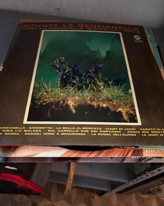 Dischi vinile