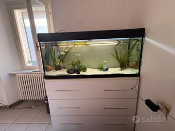 Acquario ferplust dubai 240