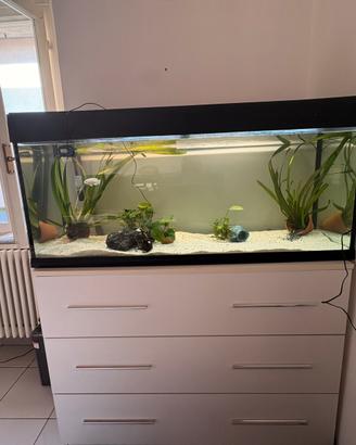 Acquario ferplust dubai 240