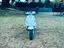 Immagine 5