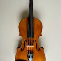 Violino