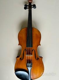 Violino