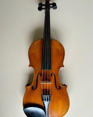Violino