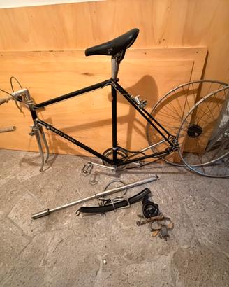 Stella Veneta bici da corsa