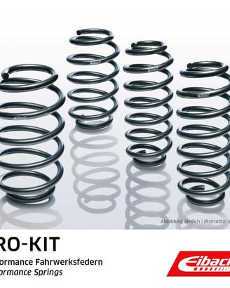 Kit Molle Eibach Pro-Kit E10-25-017-01-22