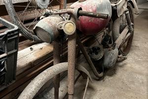 Motorino Beta