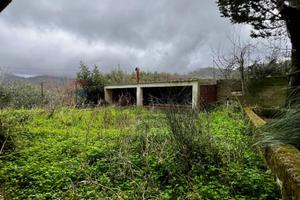 Villa o villino - Monreale