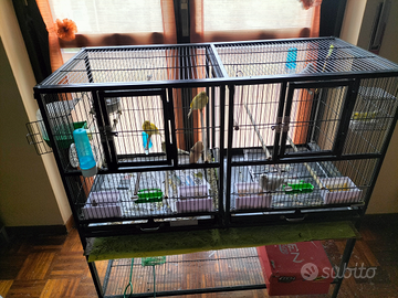 2 gabbie per canarini . i grande e una picco