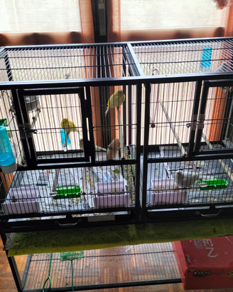 2 gabbie per canarini . i grande e una picco