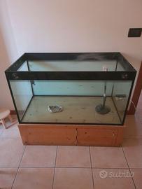 Acquario Tartarughiera