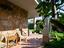 Immagine 22