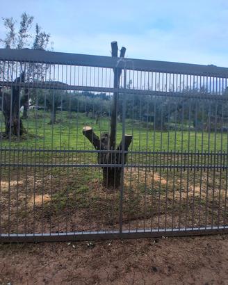 CANCELLO + CANCELLO PEDONALE ABBINATO 