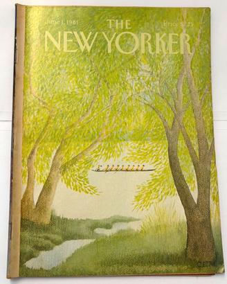 Rivista THE NEW YORKER 1 giugno 1981 completa