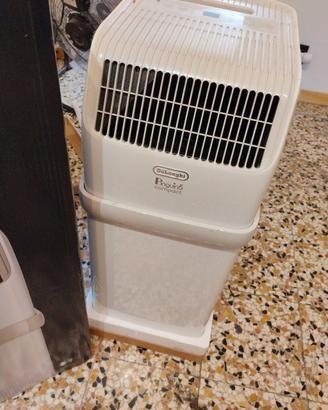 Pinguino Compact 