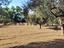 Immagine 29