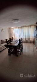 Disponibile dal 22 al 31 agosto