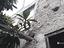 Immagine 19