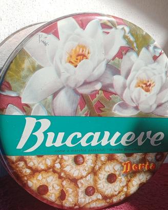 scatola latta vintage biscotti DORIA bucaneve  