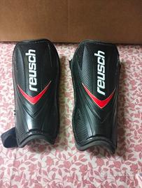 Parastinchi  Reusch. 