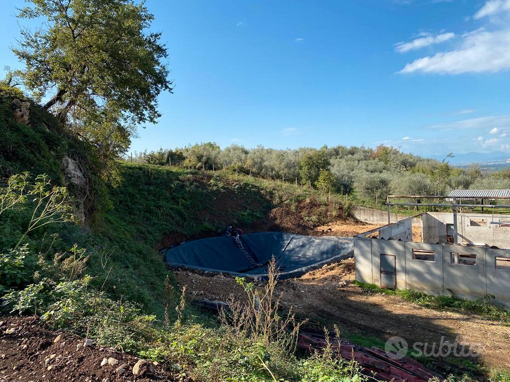 Azienda agricola Postiglione - Vista 5
