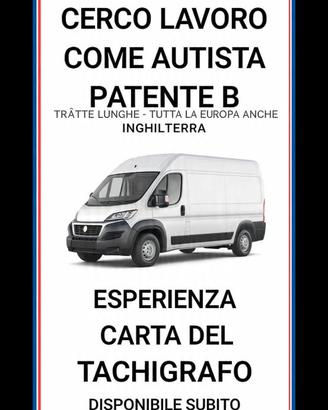 Autista patente b
