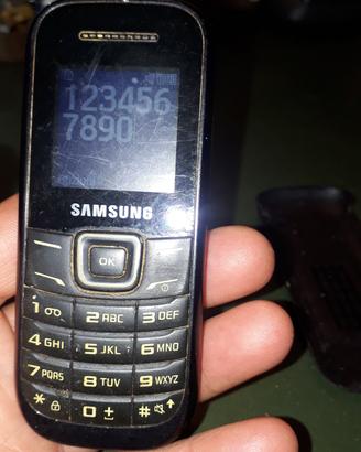 Samsung gt e1200
