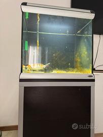 Ferplast Acquario Star Cube