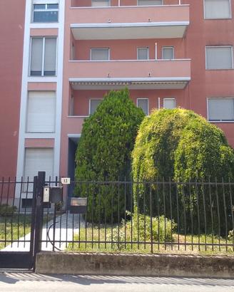 Bilocale locato