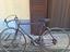 Immagine 1