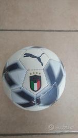 Pallone da calcio 