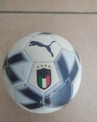 Pallone da calcio 