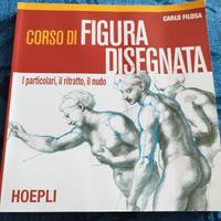 Corso di figura disegnata