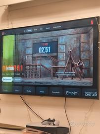 LG 55" schermo con problema