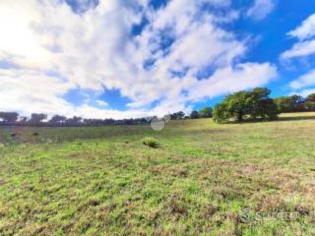 TER. AGRICOLO A VILLANOVA DI CAMPOSAMPIERO