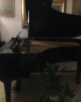 Pianoforte a coda