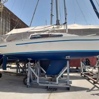 Barca a vela gib sea 242