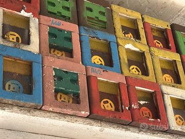 Apidea Allevamento Api Regine nuclei fecondazione