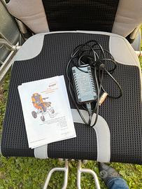Sedia elettrica per disabili