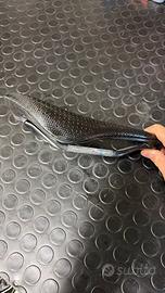 Bici da corsa