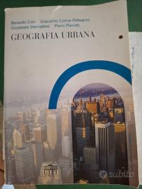 Geografia urbana