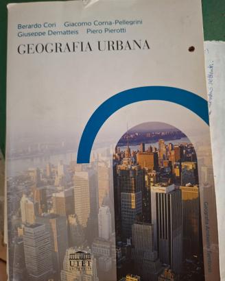 Geografia urbana