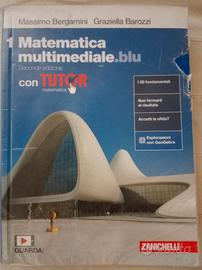 1 Matematica multimediale.blu 2' edizione 