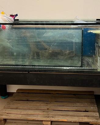 Acquario con supporto