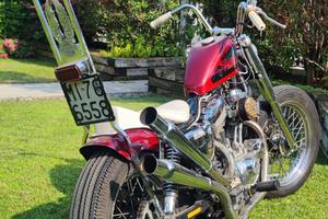Sportster Harley Davidson 