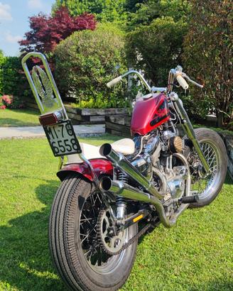 Sportster Harley Davidson 