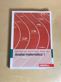 Libro di analisi matematica 1