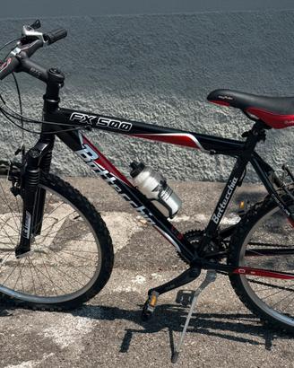 Mountain. Bike