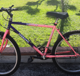 Montainbike legnano mustang - Shimano x 18